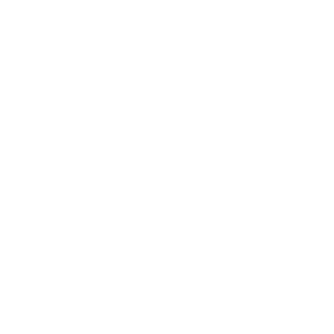 America's Top 100 Criminal Attorneys